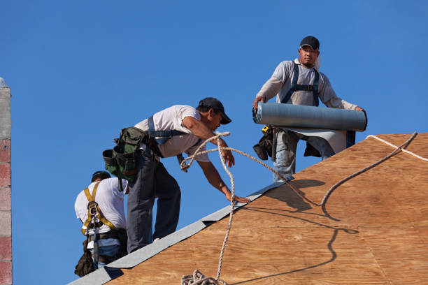 Best New Roof Installation  in Waialua, HI